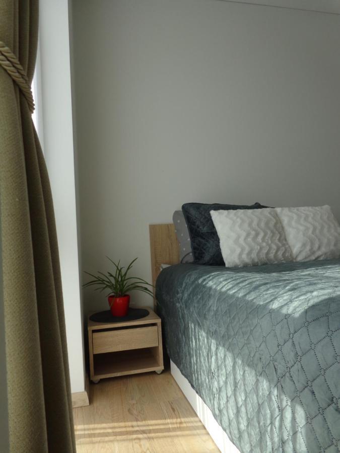 Elzbietos Centro Apartamentai VNO Eksteriør bilde