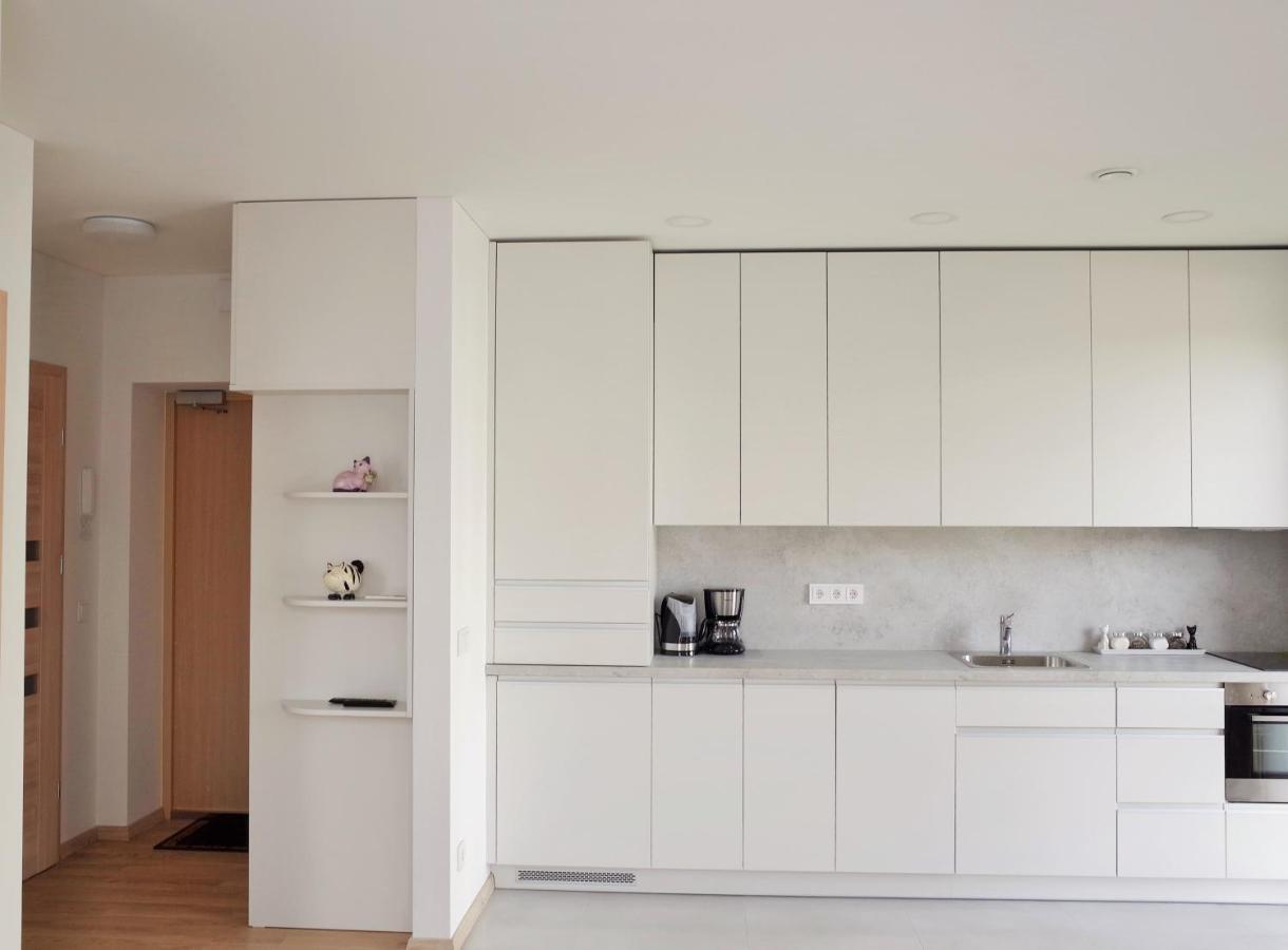 Elzbietos Centro Apartamentai VNO Eksteriør bilde