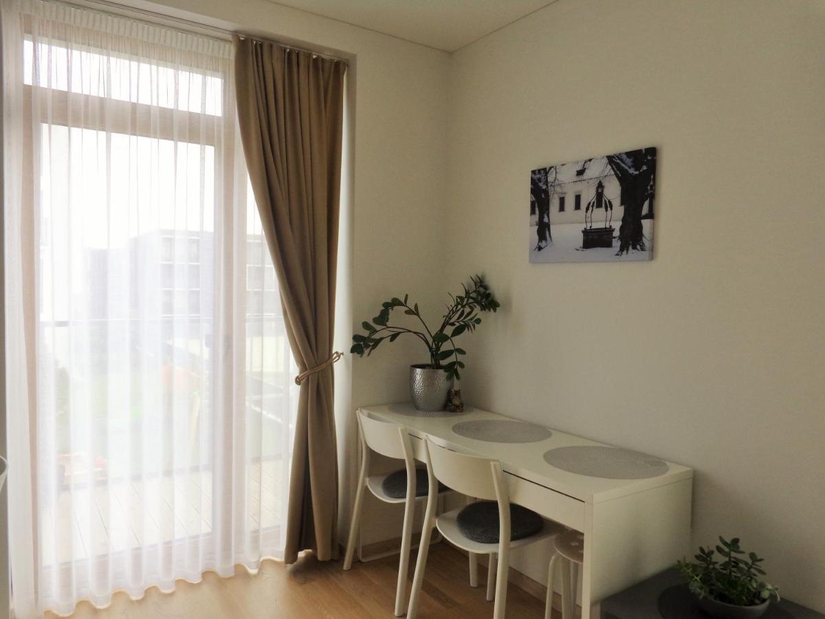 Elzbietos Centro Apartamentai VNO Eksteriør bilde