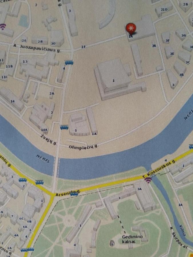 Elzbietos Centro Apartamentai VNO Eksteriør bilde